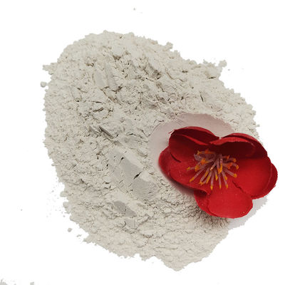 Échantillon accepté pour le forage de bentonite de sodium en poudre blanche