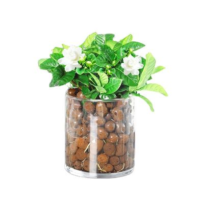 Boules brunes légères Jardin élargi Ceramsite Horticulture LECA Pellets d'argile 50L Sac