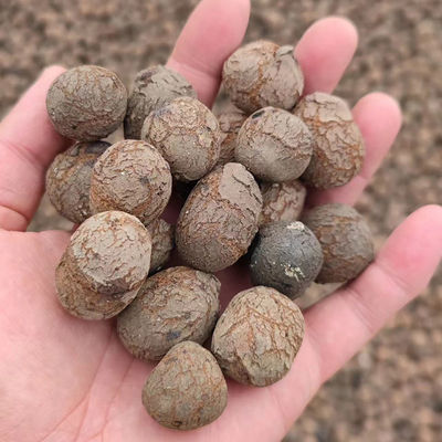 8-16mm LECA boules boules d'argile pour la culture hydroponique 10-30mm LECA pour le bâtiment